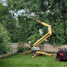 Why Choose Our Tree Removal Services in Peppermill Village, MD?